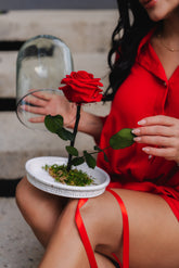 ROSA INMORTALIZADA