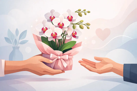 Significado de regalar orquídeas: qué expresan