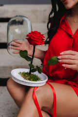 ROSA INMORTALIZADA