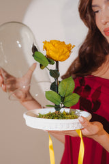 ROSA INMORTALIZADA