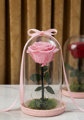 ROSA INMORTALIZADA