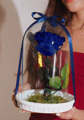 ROSA INMORTALIZADA